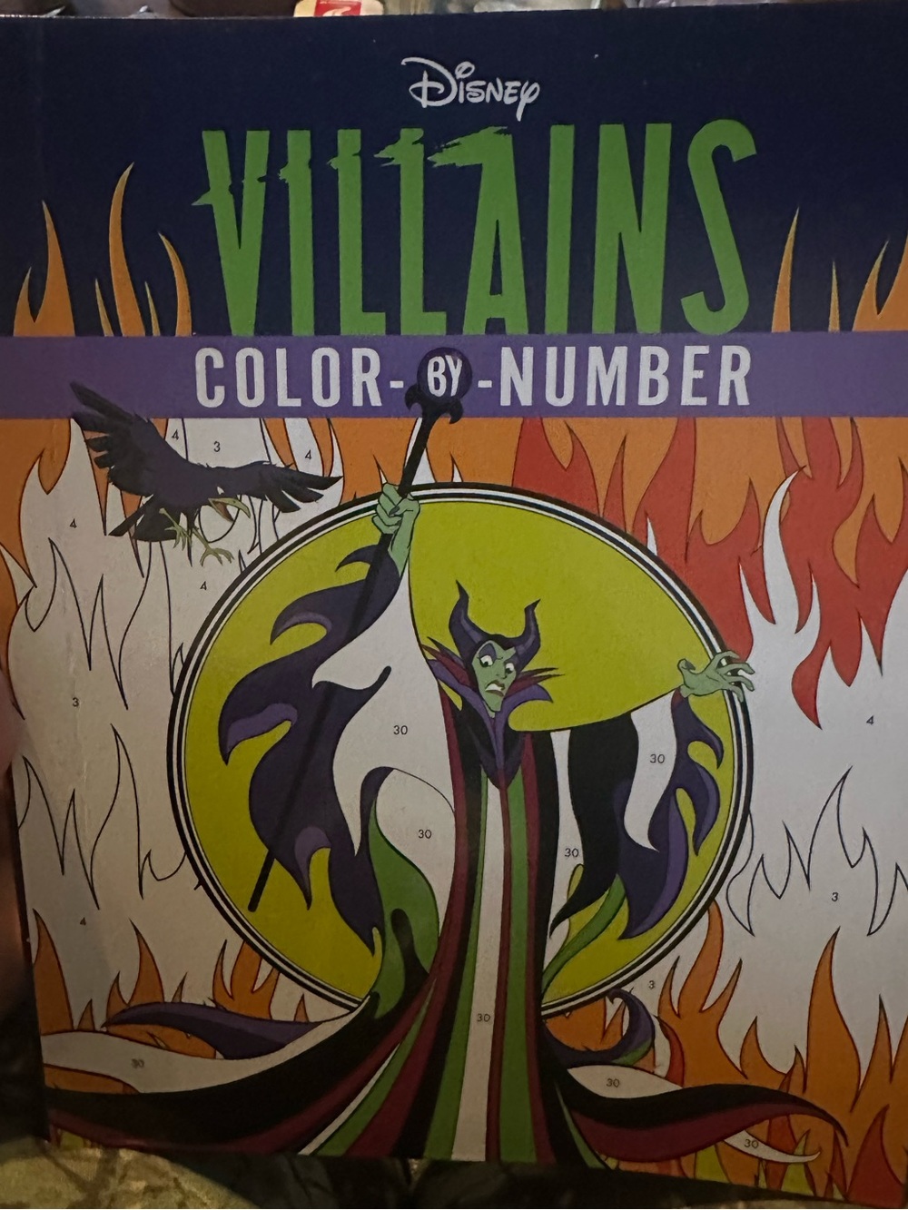 Disney Villains Color-By-Number Coloring Book